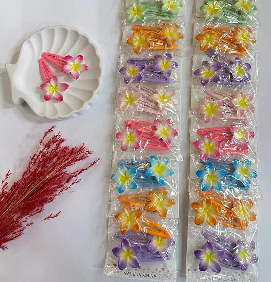 گیره پلومریا