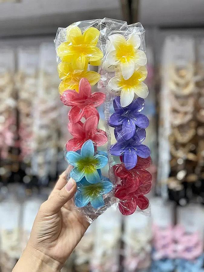 پلومریا کوچک